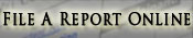 File A Report Online