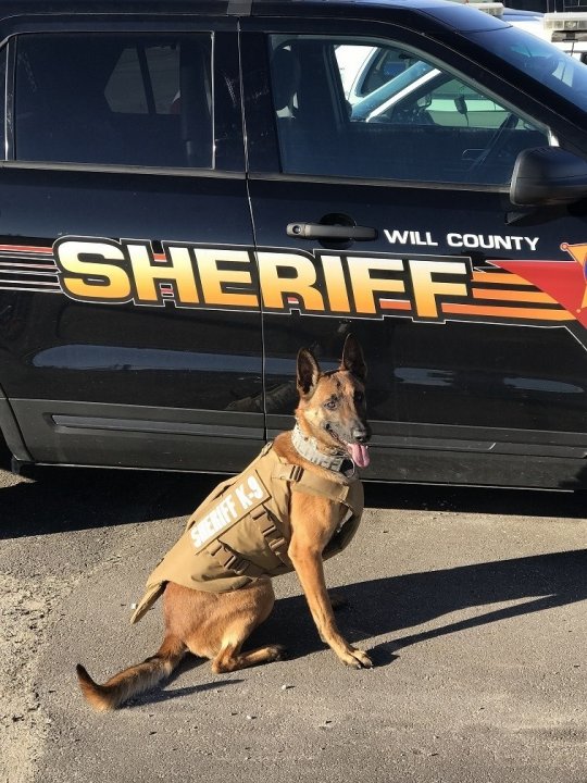 SHERIFF'S K-9'S RECEIVE BODY ARMOR THROUGH CHARITABLE DONATIONS